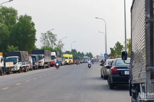 Sáng sớm 17/4, nhiều chủ phương tiện từ địa phương khác đến Đồng Tháp đỗ xe ngoài lộ để chờ đăng kiểm. (Ảnh: HỮU NGHĨA)