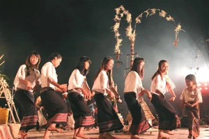 Vũ điệu Arya quyến rũ của người dân tộc Chu Ru. (Ảnh: Báo Nhân Dân)