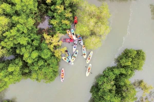 Cần Giờ sẽ có thêm nhiều sản phẩm du lịch hấp dẫn, dựa trên cơ sở tuân thủ các nguyên tắc bảo đảm an toàn cho môi trường tự nhiên. Ảnh: Suduchi