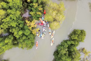 Cần Giờ sẽ có thêm nhiều sản phẩm du lịch hấp dẫn, dựa trên cơ sở tuân thủ các nguyên tắc bảo đảm an toàn cho môi trường tự nhiên. Ảnh: Suduchi