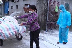 Đưa lợn bị chết do dịch bệnh đi tiêu hủy.