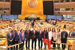 Đoàn Việt Nam tham dự phiên họp bỏ phiếu và công bố kết quả thành viên Hội đồng Nhân quyền Liên hợp quốc. Ảnh: Nguyễn Huy