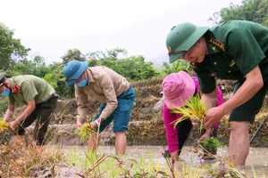 Hơ Văn Xá cùng lực lượng vũ trang ở huyện Mường Lát cấy lúa giúp dân.