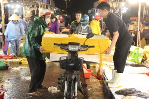 Chợ cá lớn nhất Đà Nẵng tất bật lúc rạng sáng.