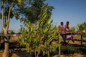 Ảnh: Action Against Hunger