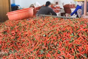 Bộ Nông nghiệp và Môi trường đã ký các nghị định thư về xuất khẩu ớt, chanh leo, tổ yến, cám gạo sang Trung Quốc.