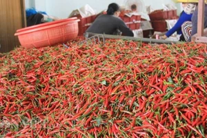 Bộ Nông nghiệp và Môi trường đã ký các nghị định thư về xuất khẩu ớt, chanh leo, tổ yến, cám gạo sang Trung Quốc.