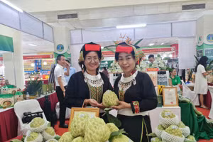 Gian hàng quảng bá, giới thiệu na Chi Lăng - sản vật bậc nhất xứ Lạng từ vách núi đá vôi và các nông đặc sản, sản phẩm OCOP tỉnh Lạng Sơn.