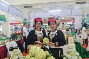 Gian hàng quảng bá, giới thiệu na Chi Lăng - sản vật bậc nhất xứ Lạng từ vách núi đá vôi và các nông đặc sản, sản phẩm OCOP tỉnh Lạng Sơn.