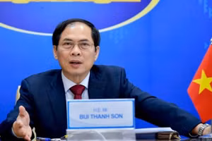 Bộ trưởng Ngoại giao Bùi Thanh Sơn (Ảnh: dangcongsan.vn)