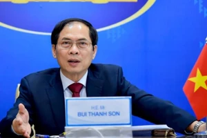 Bộ trưởng Ngoại giao Bùi Thanh Sơn (Ảnh: dangcongsan.vn)