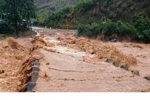 Bộ Nông nghiệp và Phát triển nông thôn ra công điện 5515/CĐ-BNN-ĐĐ Về việc tập trung biện pháp giảm thiểu thiệt hại về người và chủ động ứng phó mưa lũ, sạt lở đất trong thời gian tới.