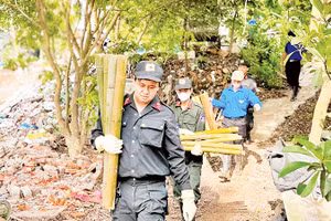 Phủ xanh bãi sông Hồng