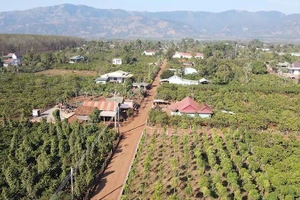 Hệ thống giao thông nông thôn ở Gia Lai. (Ảnh minh họa: SỸ TẠO)