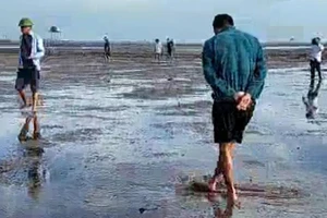 Các cơ quan chức năng của huyện Thái Thụy và lãnh đạo xã Thái Đô (tỉnh Thái Bình) đi kiểm tra ngao chết ngày 11/9. (Ảnh cắt từ clip)