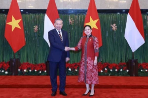 Tổng Bí thư Tô Lâm gặp Chủ tịch Hạ viện Indonesia Puan Maharani. (Ảnh: TTXVN)