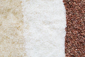 Hành trình hạt gạo Việt Nam