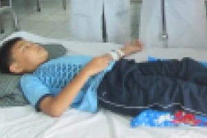 An Giang gia tăng số ca mắc sốt xuất huyết so cùng kỳ.