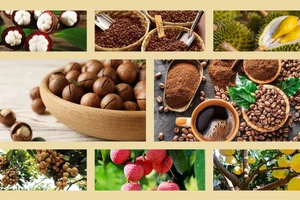 Hướng đến mục tiêu 10.000 sản phẩm OCOP năm 2025