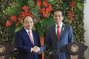 Chủ tịch nước Nguyễn Xuân Phúc và Tổng thống Indonesia Joko Widodo. (Ảnh: Thống Nhất/TTXVN)