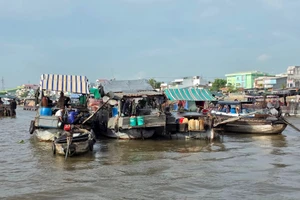 Dựa vào nhau để cùng “nổi”.