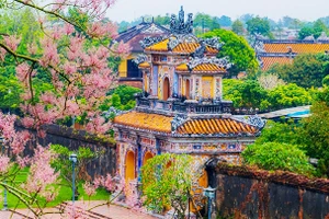 Sắc hoa ngô đồng trong Đại Nội. Ảnh: ĐÌNH HOÀNG