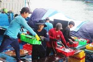 Chuyến bám biển thắng lợi ngày áp Tết.