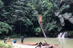 “Viên ngọc xanh” Labi