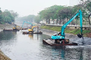 Nhộn nhịp trên sông. 