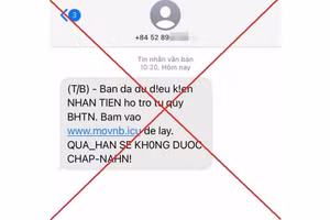 Nếu thiếu cảnh giác, người dân rất dễ trở thành nạn nhân của các chiêu trò lừa đảo thông qua các đường link giả mạo. (Ảnh minh họa)