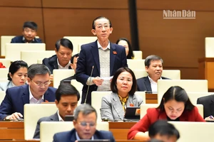 Đại biểu Quốc hội Trần Hoàng Ngân tham gia ý kiến thảo luận về Nghị quyết 30 của Quốc hội trong phiên họp chiều 7/1. (Ảnh: THỦY NGUYÊN)