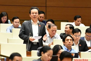 Đại biểu quốc hội đặt câu hỏi chất vấn.