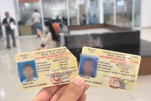 Trường hợp giấy phép lái xe bị trừ hết điểm thì người có giấy phép lái xe không được điều khiển phương tiện tham gia giao thông đường bộ theo loại giấy phép lái xe đó. (Ảnh minh họa) 