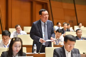 Tổng Thanh tra Chính phủ Đoàn Hồng Phong trả lời chất vấn của đại biểu Quốc hội chiều 7/11. (Ảnh: ĐĂNG KHOA)