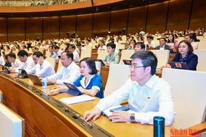 Quốc hội biểu quyết thông qua Nghị quyết trong phiên họp sáng 15/11. (Ảnh: DUY LINH)