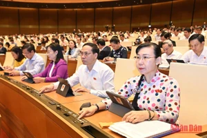 Quốc hội biểu quyết thông qua Luật Thanh tra (sửa đổi) trong phiên họp sáng 14/11. (Ảnh: ĐĂNG KHOA)