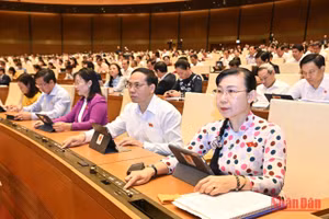 Quốc hội biểu quyết thông qua Luật Thanh tra (sửa đổi) trong phiên họp sáng 14/11. (Ảnh: ĐĂNG KHOA)