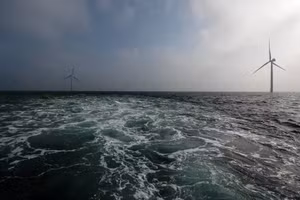Các turbine điện gió tại trang trại gió ngoài khơi Eneco Luchterduinen, gần Amsterdam, Hà Lan. (Ảnh: Reuters)