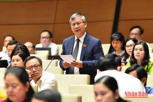 Đại biểu Nguyễn Anh Trí (Hà Nội) góp ý kiến vào dự án Luật Đất đai (sửa đổi) trong phiên họp chiều 14/11. (Ảnh: THỦY NGUYÊN)