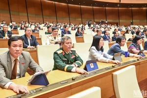 Đại biểu Quốc hội biểu quyết thông qua Nghị quyết về thí điểm một số cơ chế, chính sách đặc biệt tạo đột phá phát triển khoa học, công nghệ, đổi mới sáng tạo và chuyển đổi số quốc gia. (Ảnh: DUY LINH)