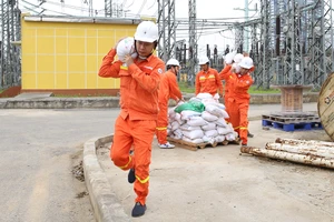 Các đơn vị của Tập đoàn Điện lực Việt Nam (EVN) tại những khu vực dự kiến bão đổ bộ đang tích cực triển khai các phương án phòng, chống lụt bão. 