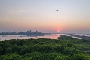 Quang cảnh rừng ngập mặn ở khu vực ven biển gần dự án "Java 7" ở Serang, tỉnh Banten, Indonesia. (Ảnh minh họa: Xinhua) 