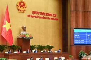 Quốc hội biểu quyết thông qua Luật Tổ chức chính quyền địa phương (sửa đổi). (Ảnh: DUY LINH) 