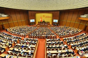 [Infographic] Các cơ quan của Quốc hội khóa XV 