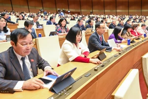 Các đại biểu tiến hành biểu quyết. (Ảnh: DUY LINH) 