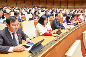 Các đại biểu tiến hành biểu quyết. (Ảnh: DUY LINH) 