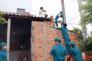 Các lực lượng chức năng giúp người dân thị xã Đức Phổ (Quảng Ngãi) chằng chống nhà cửa ứng phó với bão số 4, tháng 9/2022. (Ảnh: HIỂN CỪ)