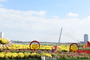 Giọt nhớ thiên thanh với hoa cỏ mùa xuân thành phố.