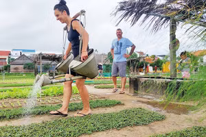Tập làm nông dân ở Trà Quế. 