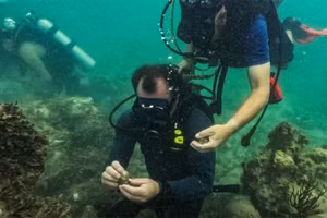 Quần đảo Florida Keys, cực nam của bang Florida, Mỹ. (Ảnh: Reuters)